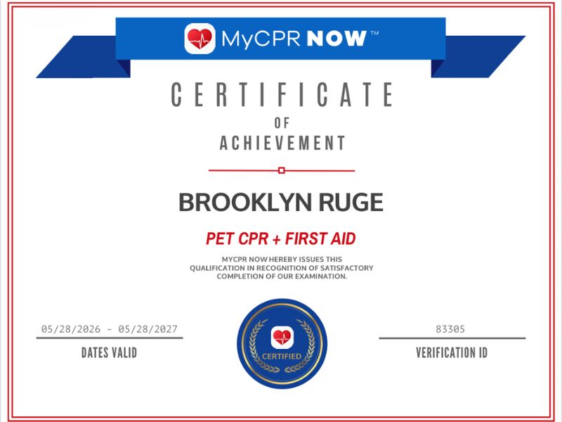 brooklyn certificate brooklyn certificate