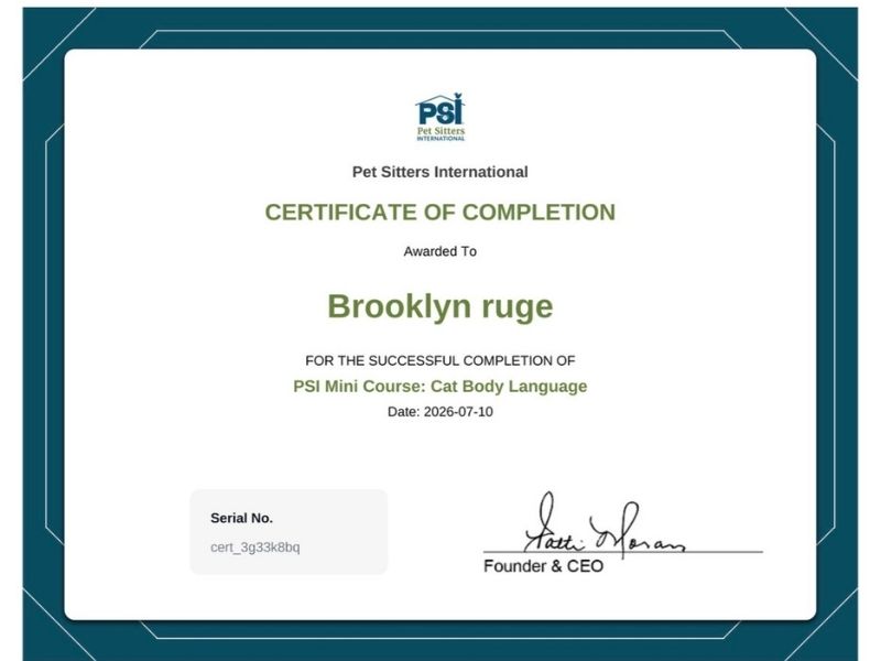 Brooklyn Certificate PSI Mini Course Cat Body Language Brooklyn Certificate PSI Mini Course Cat Body Language